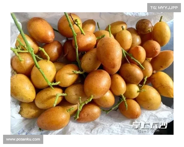 探秘黄皮:这款南方水果为何让北方人无缘? 探秘黄皮:这款南方水果为何让北方人无缘?